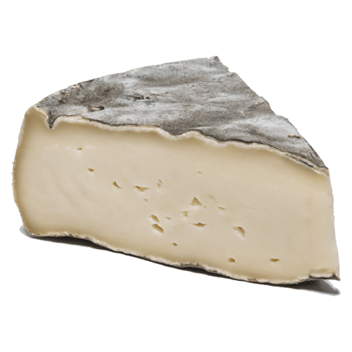 Saint-Nectaire-AOP-Fermier